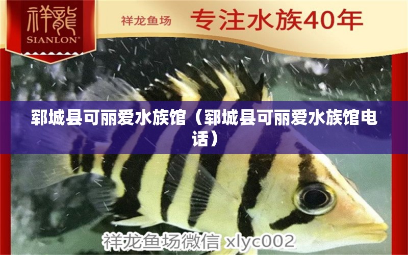 郓城县可丽爱水族馆（郓城县可丽爱水族馆电话）