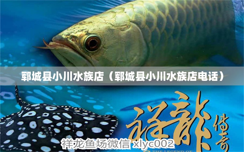 郓城县小川水族店（郓城县小川水族店电话） 全国水族馆企业名录