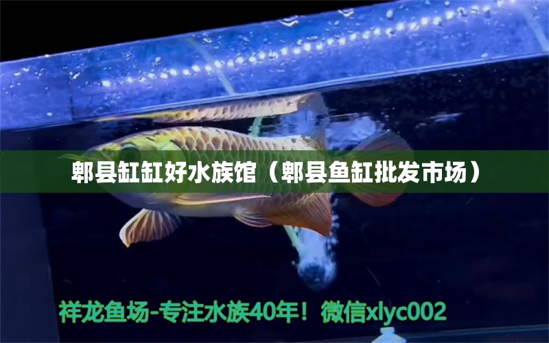 郫县缸缸好水族馆（郫县鱼缸批发市场）