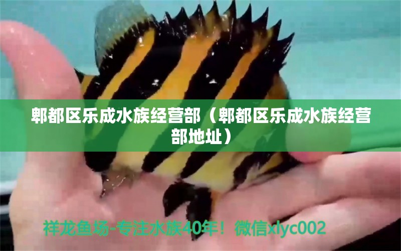 郫都区乐成水族经营部（郫都区乐成水族经营部地址）