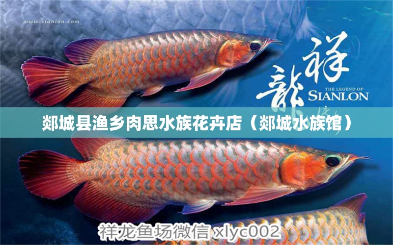 郯城县渔乡肉思水族花卉店（郯城水族馆） 全国水族馆企业名录