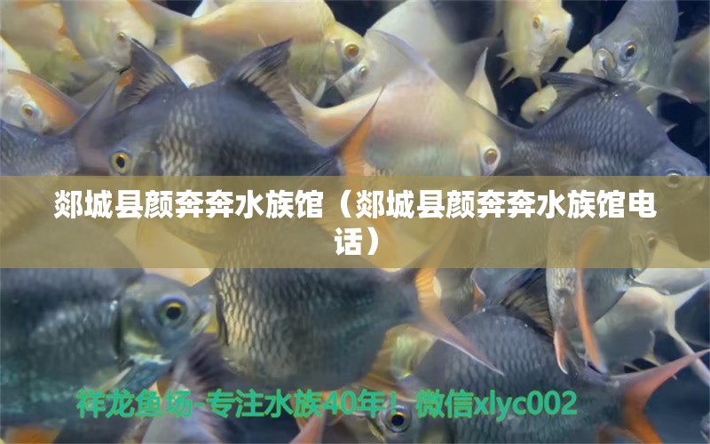 郯城县颜奔奔水族馆（郯城县颜奔奔水族馆电话）