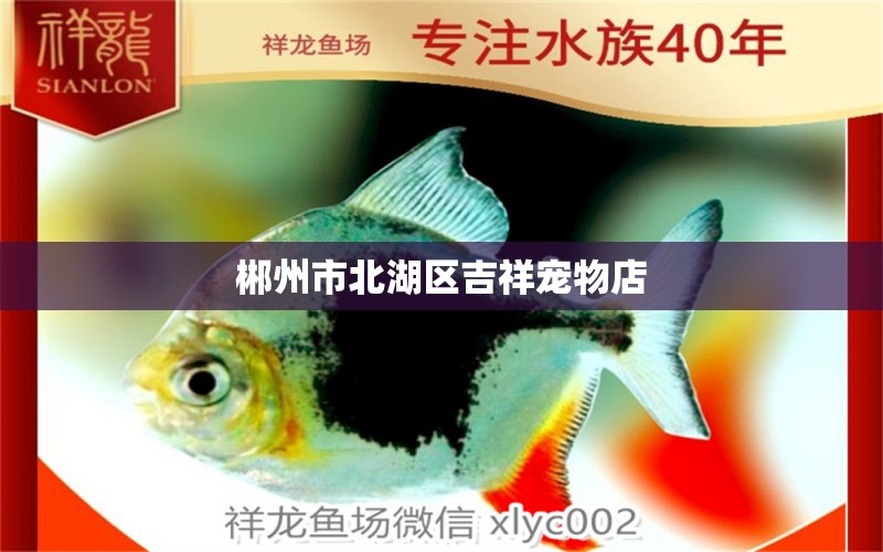 郴州市北湖区吉祥宠物店 全国水族馆企业名录