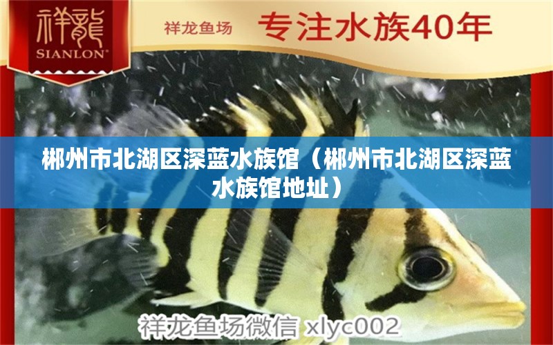 郴州市北湖区深蓝水族馆（郴州市北湖区深蓝水族馆地址） 全国水族馆企业名录