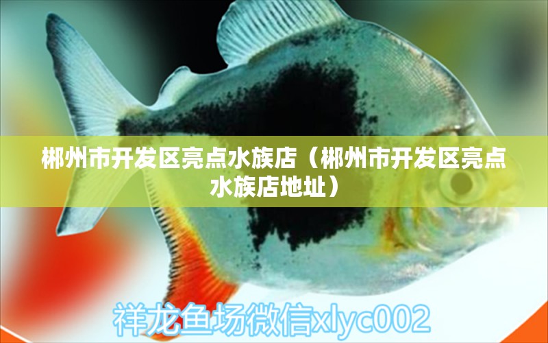 郴州市开发区亮点水族店（郴州市开发区亮点水族店地址）