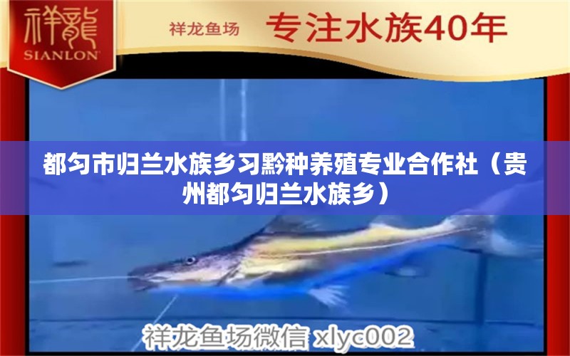 都匀市归兰水族乡习黔种养殖专业合作社（贵州都匀归兰水族乡）