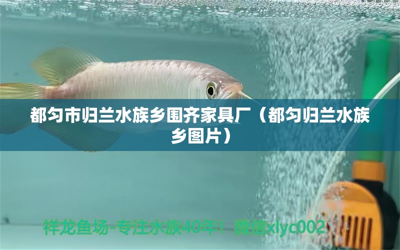 都匀市归兰水族乡围齐家具厂（都匀归兰水族乡图片） 全国水族馆企业名录