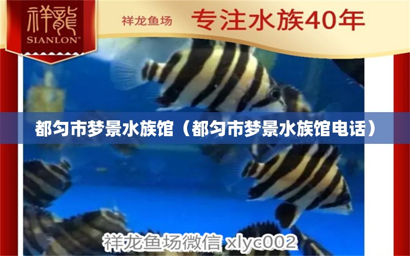 都匀市梦景水族馆（都匀市梦景水族馆电话）