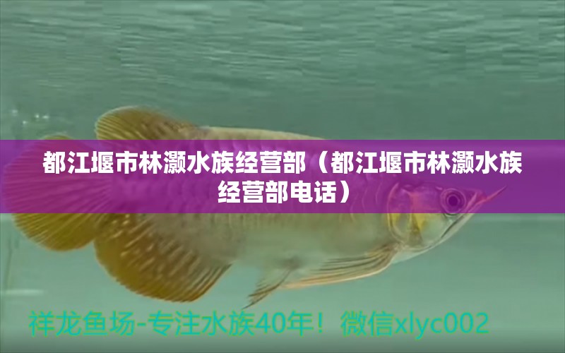 都江堰市林灏水族经营部（都江堰市林灏水族经营部电话） 全国水族馆企业名录