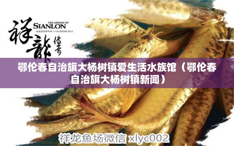 鄂伦春自治旗大杨树镇爱生活水族馆（鄂伦春自治旗大杨树镇新闻）