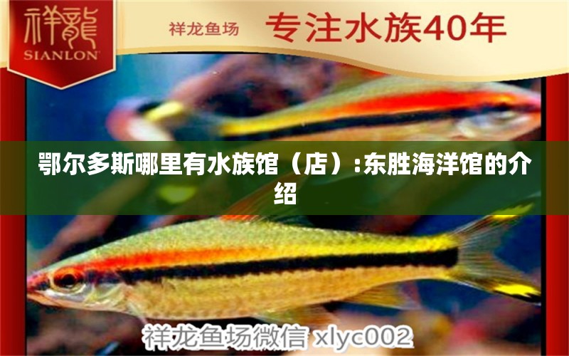 鄂尔多斯哪里有水族馆（店）:东胜海洋馆的介绍