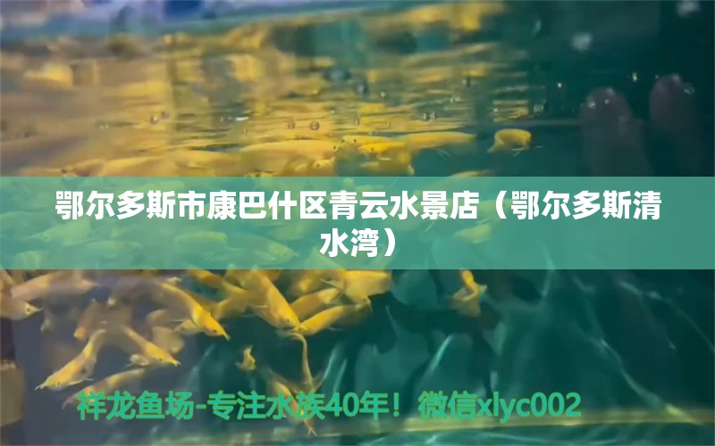 鄂尔多斯市康巴什区青云水景店（鄂尔多斯清水湾） 全国水族馆企业名录