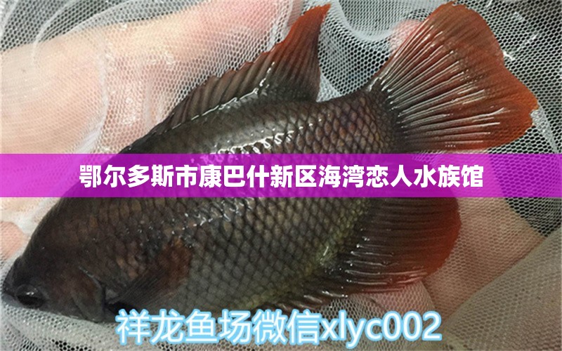 鄂尔多斯市康巴什新区海湾恋人水族馆