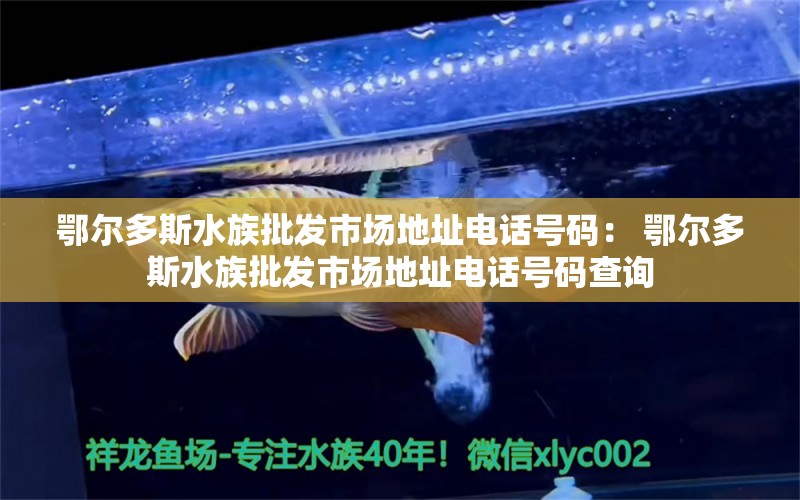 鄂尔多斯水族批发市场地址电话号码： 鄂尔多斯水族批发市场地址电话号码查询 蝴蝶鲤