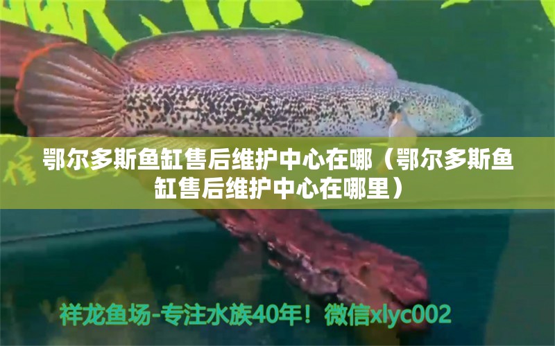 鄂尔多斯鱼缸售后维护中心在哪（鄂尔多斯鱼缸售后维护中心在哪里）