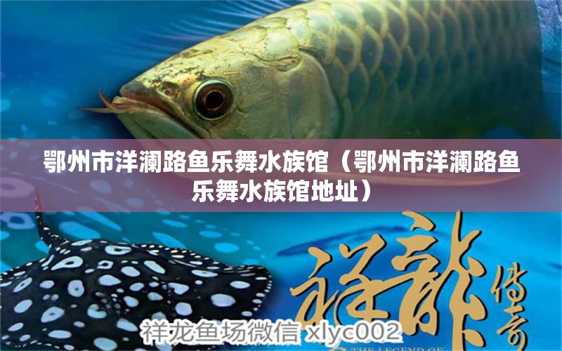 鄂州市洋澜路鱼乐舞水族馆（鄂州市洋澜路鱼乐舞水族馆地址） 全国水族馆企业名录