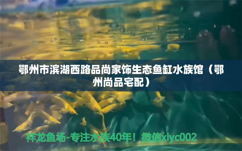 鄂州市滨湖西路品尚家饰生态鱼缸水族馆（鄂州尚品宅配） 全国水族馆企业名录