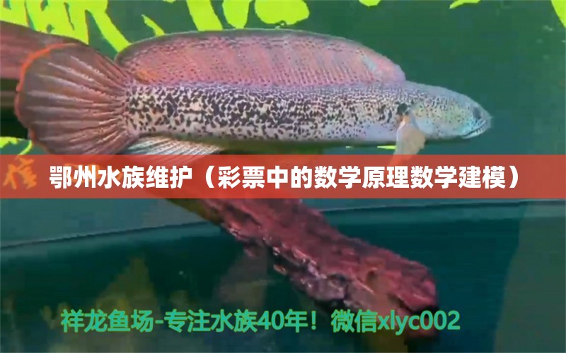 鄂州水族维护（彩票中的数学原理数学建模）