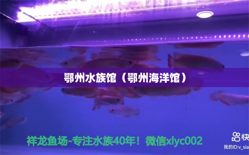 鄂州水族馆（鄂州海洋馆）