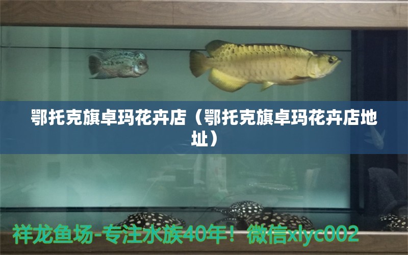 鄂托克旗卓玛花卉店（鄂托克旗卓玛花卉店地址） 全国水族馆企业名录