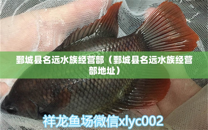 鄄城县名远水族经营部（鄄城县名远水族经营部地址）