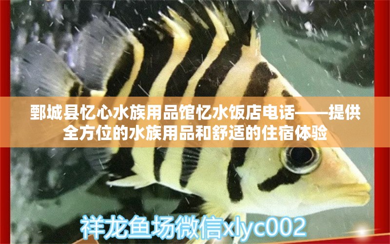 鄄城县忆心水族用品馆忆水饭店电话——提供全方位的水族用品和舒适的住宿体验