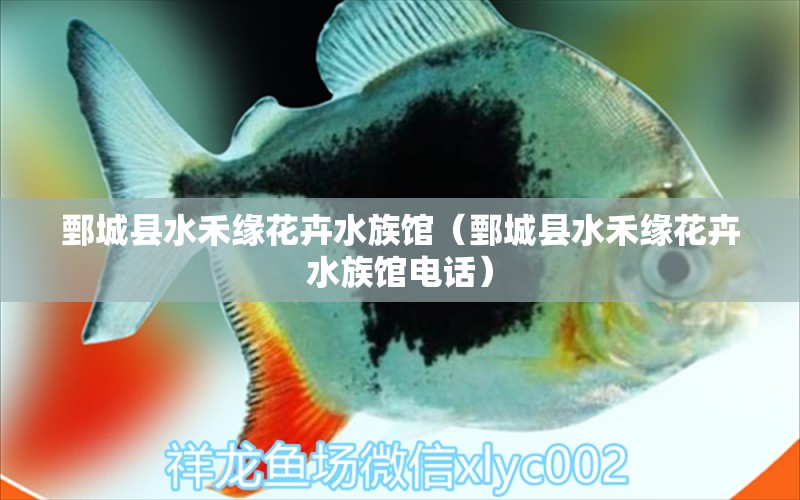 鄄城县水禾缘花卉水族馆（鄄城县水禾缘花卉水族馆电话） 全国水族馆企业名录