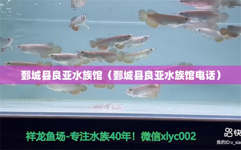 鄄城县良亚水族馆（鄄城县良亚水族馆电话）