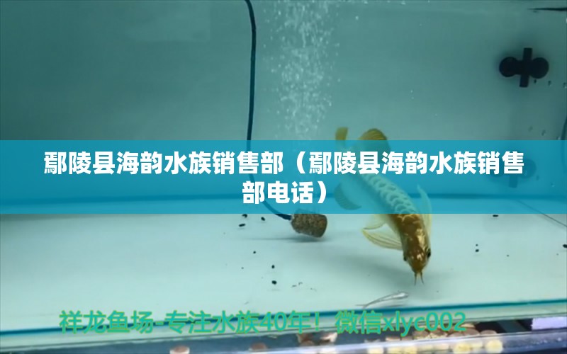 鄢陵县海韵水族销售部（鄢陵县海韵水族销售部电话）