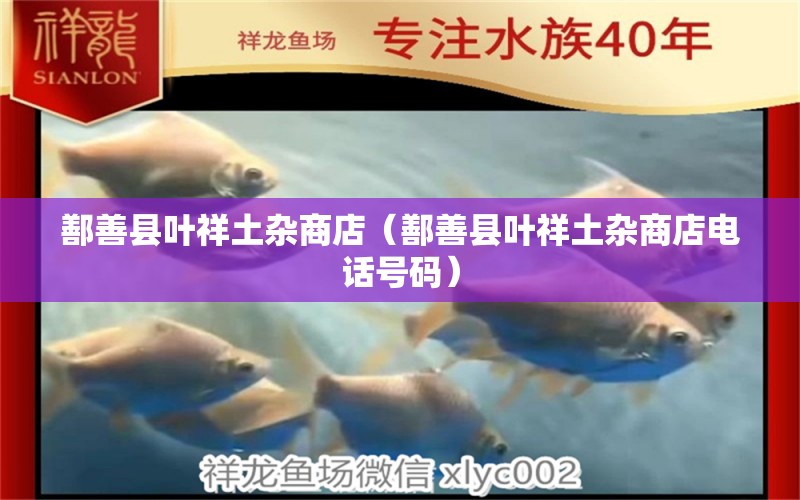 鄯善县叶祥土杂商店（鄯善县叶祥土杂商店电话号码） 全国水族馆企业名录