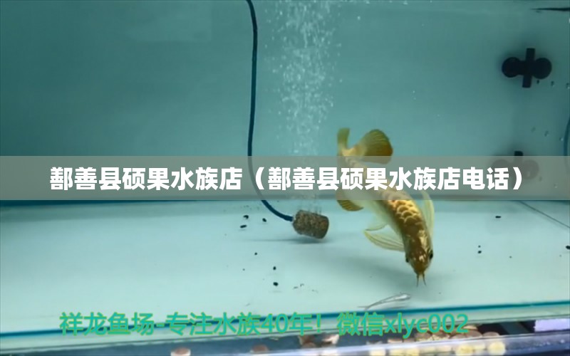 鄯善县硕果水族店（鄯善县硕果水族店电话） 全国水族馆企业名录