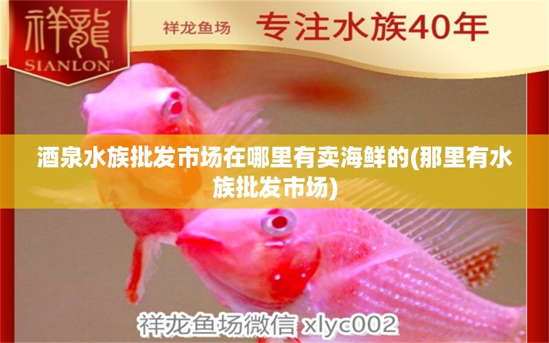 酒泉水族批发市场在哪里有卖海鲜的(那里有水族批发市场)