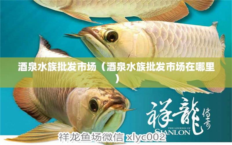 酒泉水族批发市场（酒泉水族批发市场在哪里）