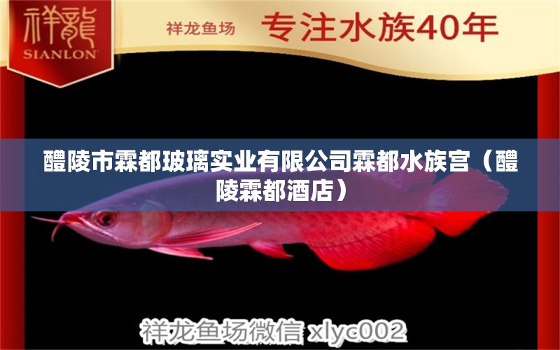 醴陵市霖都玻璃实业有限公司霖都水族宫（醴陵霖都酒店） 全国水族馆企业名录