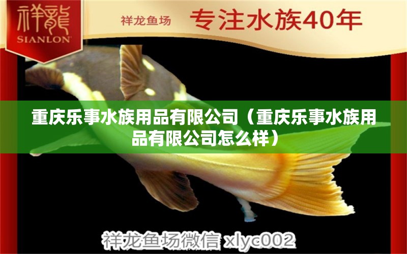 重庆乐事水族用品有限公司（重庆乐事水族用品有限公司怎么样）