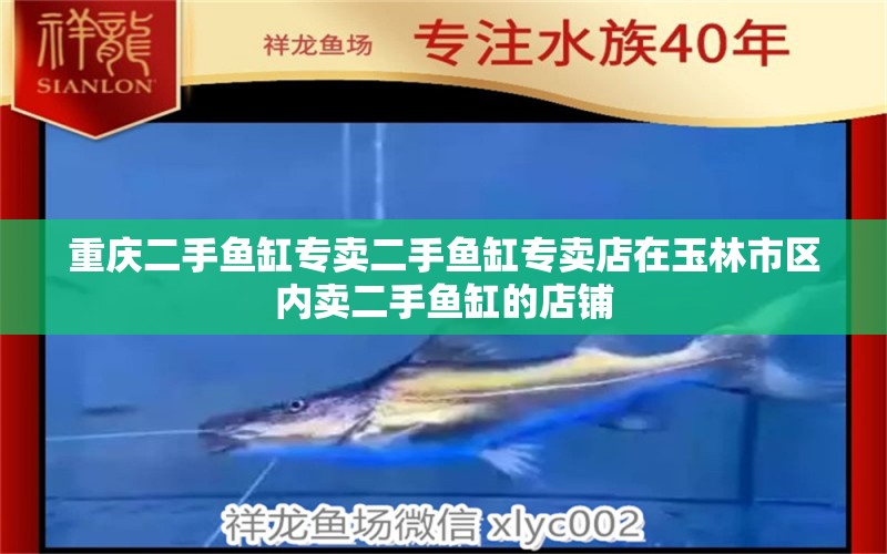 重庆二手鱼缸专卖二手鱼缸专卖店在玉林市区内卖二手鱼缸的店铺