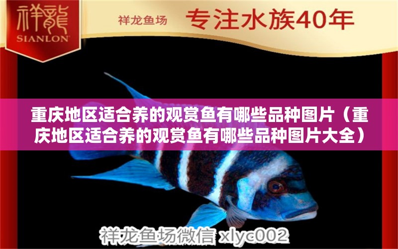 重庆地区适合养的观赏鱼有哪些品种图片（重庆地区适合养的观赏鱼有哪些品种图片大全）