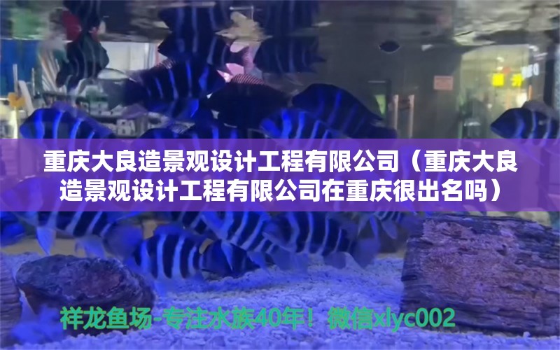 重庆大良造景观设计工程有限公司（重庆大良造景观设计工程有限公司在重庆很出名吗）