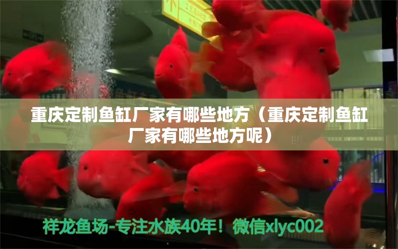 重庆定制鱼缸厂家有哪些地方（重庆定制鱼缸厂家有哪些地方呢） 祥龙水族医院