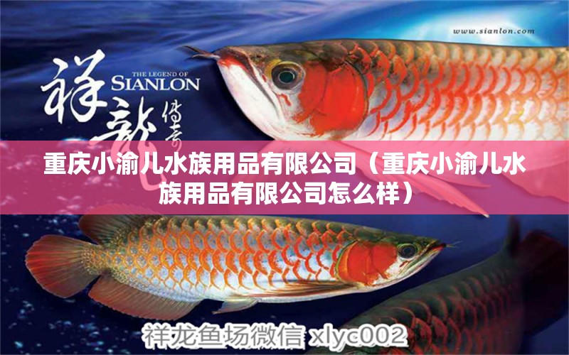 重庆小渝儿水族用品有限公司（重庆小渝儿水族用品有限公司怎么样）