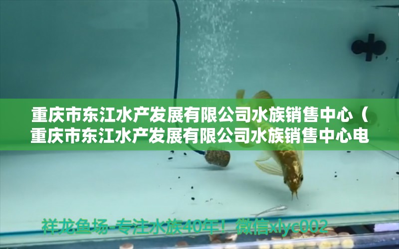 重庆市东江水产发展有限公司水族销售中心（重庆市东江水产发展有限公司水族销售中心电话）