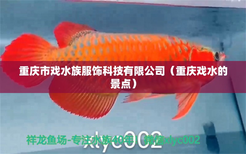 重庆市戏水族服饰科技有限公司（重庆戏水的景点）