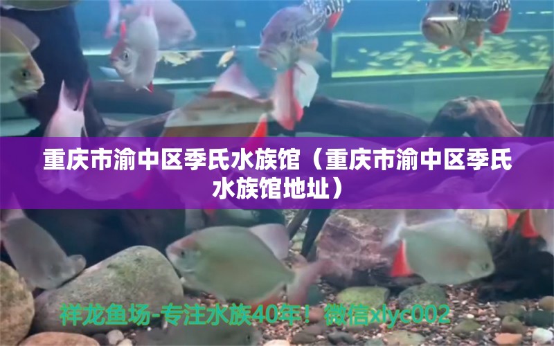 重庆市渝中区季氏水族馆（重庆市渝中区季氏水族馆地址）