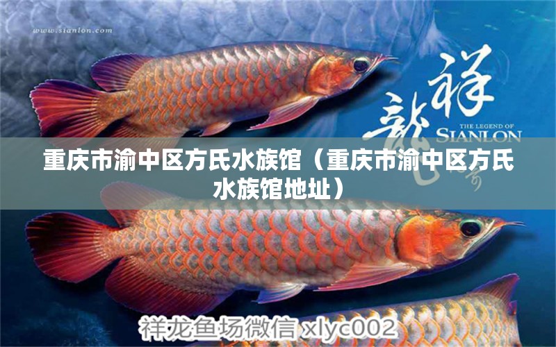 重庆市渝中区方氏水族馆（重庆市渝中区方氏水族馆地址）