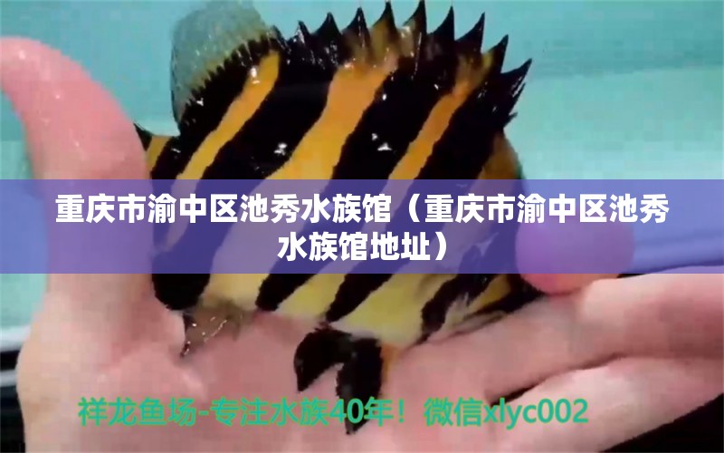 重庆市渝中区池秀水族馆（重庆市渝中区池秀水族馆地址） 全国水族馆企业名录