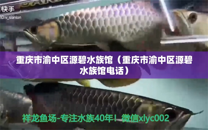 重庆市渝中区源碧水族馆（重庆市渝中区源碧水族馆电话）