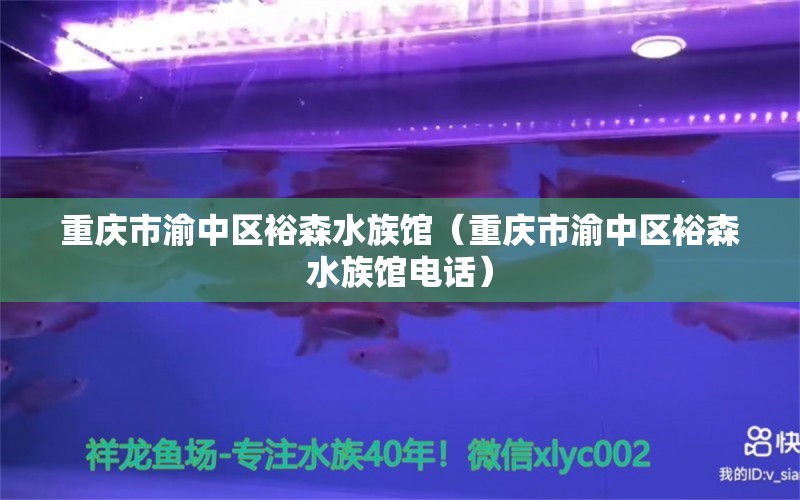 重庆市渝中区裕森水族馆（重庆市渝中区裕森水族馆电话） 全国水族馆企业名录