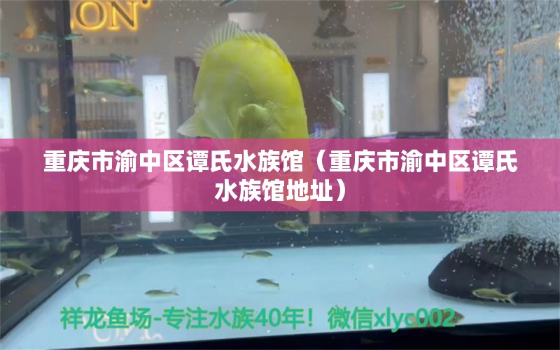 重庆市渝中区谭氏水族馆（重庆市渝中区谭氏水族馆地址）