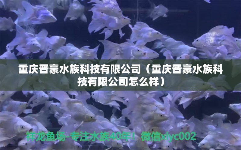 重庆晋豪水族科技有限公司（重庆晋豪水族科技有限公司怎么样）