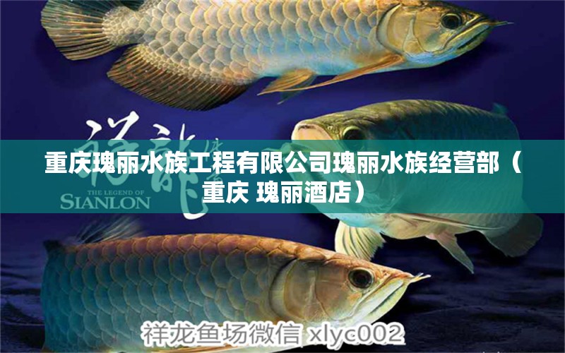 重庆瑰丽水族工程有限公司瑰丽水族经营部（重庆 瑰丽酒店）